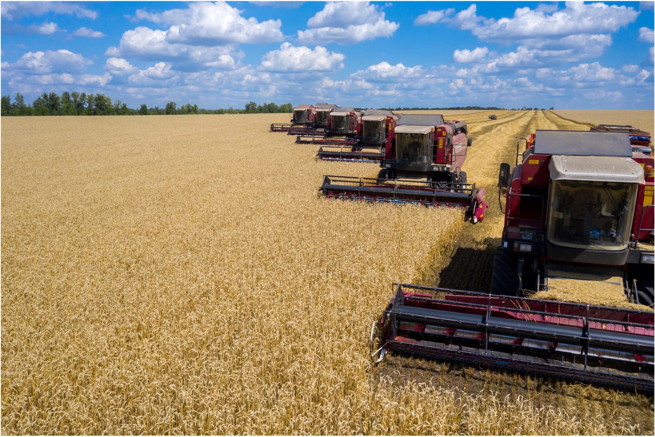 Mitä viljojen syönti tekee sinulle ja maapallolle?