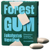 Forest Gum — Eukalyptus-mentolipurukumi, muoviton, 20 g